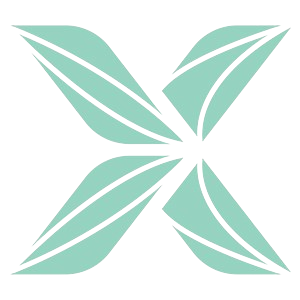 Logo_Image-removebg-preview Exec Hawai'i Logo Icon